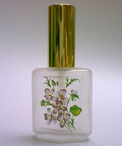 F19-P1.jpg
